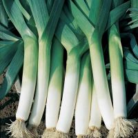 Leeks