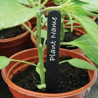 Plant Labels