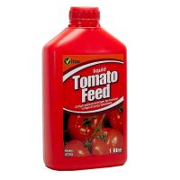 Tomato Feed