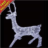 Garden LED Christmas Lights