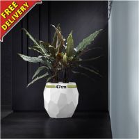 Planter