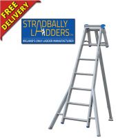 Tripod Step Ladder