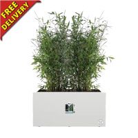 Long Garden Planter