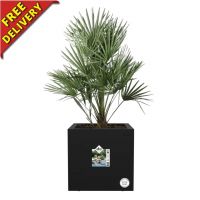 Square outdoor planter