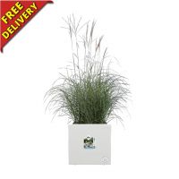 Square Outdoor Planter