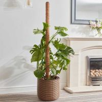 Coco Moss Pole (120cm)