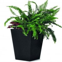 Rattan Planter (53.5 x 53.5cm)