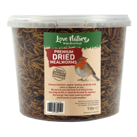 Dried Mealworms