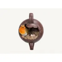 Tea Pot Bird Nest Kit