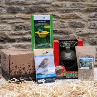 Tea Pot Bird Nest Kit