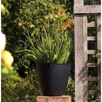 40cm Round Basalt Planter