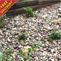 Beach Cobbles