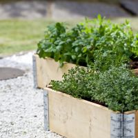 Raised Bed