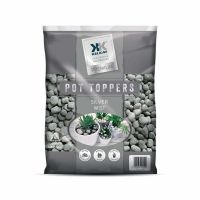 Bag of Silver Mist Pot Topper