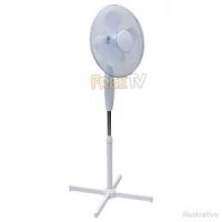 Electric Fan
