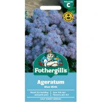 Ageratum Seeds