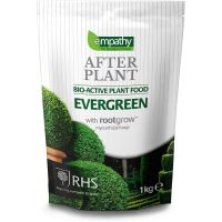 Afterplant Evergreen