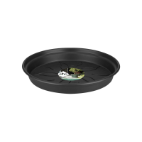 green basics saucer
