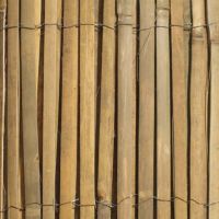 Bamboo Screen Fencing