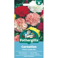 Carnation Mixed Seeds