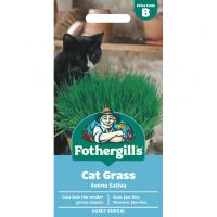 Cat Grass Seeds
