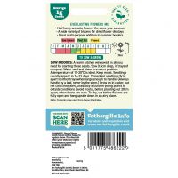 Everlasting Flower Seed