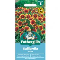 Gaillardia Goblin Seeds