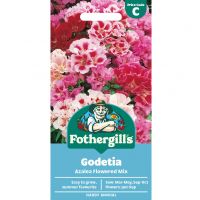Godetia Seeds