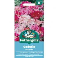 Godetia Seeds