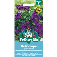 Heliotrope Seeds