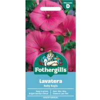 Lavatera Seeds