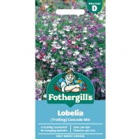 Lobelia Trailing Flower Seeds