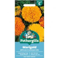 Marigold Seeds