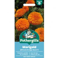 Marigold Seeds