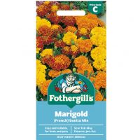 Marigold Seeds