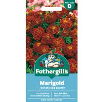 Marigold Seeds