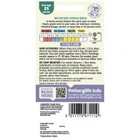 Nasturtium Trailing Seeds