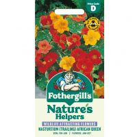 Nasturtium Trailing Seeds