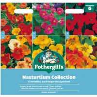 Nasturtium Mixed Seeds Collection