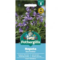 Nepeta Seeds