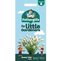 Bunny Tail Grass Seeds