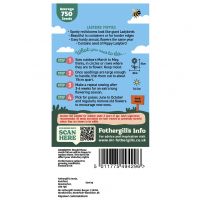 Ladybird Poppy Seeds