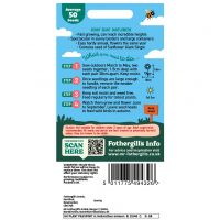 Giant Sunfower Seeds