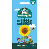 Giant Sunfower Seeds