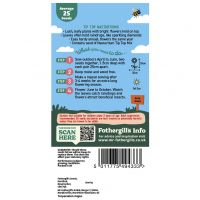 Tip Top Nasturtiums Seeds