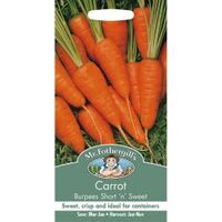 CARROT Burpees Short n Sweet Mr Fothergills Seeds