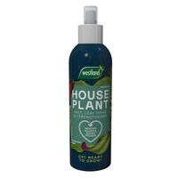 House Plant Mist