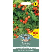 TOMATO Cherry Blast F1 Mr Fothergills Seeds