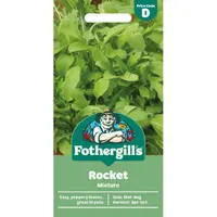 ROCKET Mix Mr Fothergills Seeds