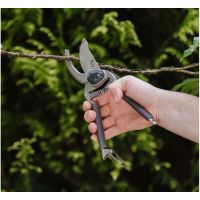 Secateurs